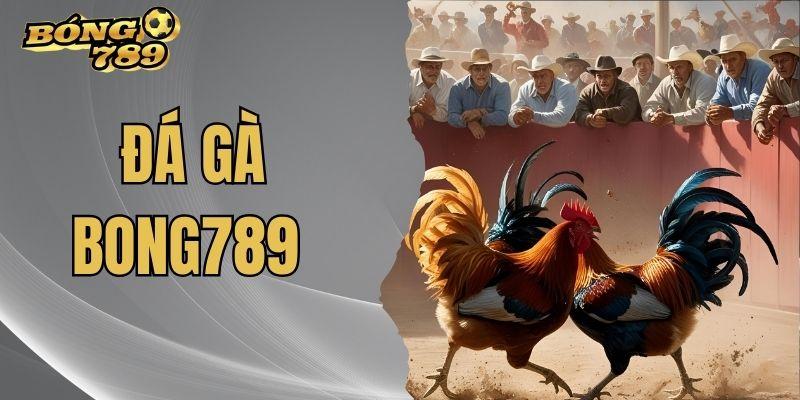 Đá gà bóng 789