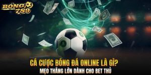 Cá cược bóng đá online là gì